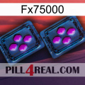 Fx75000 03